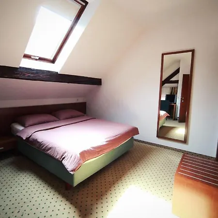Pri Vodniku Guest house 3*