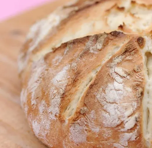 Pri Vodniku Hiša za goste