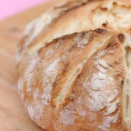 Pri Vodniku Πανσιόν